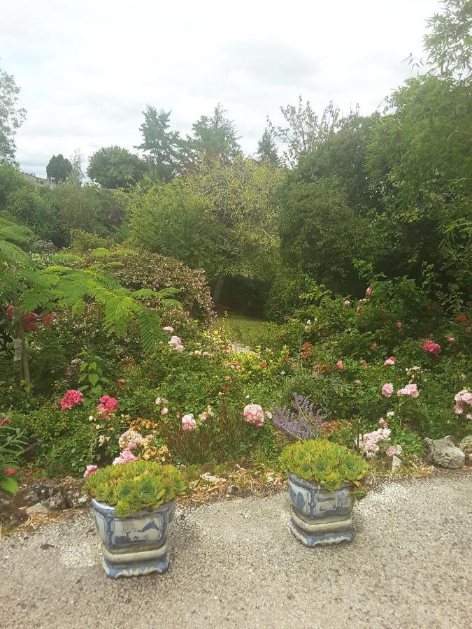 La Maison Des Thermes, Chambre D'Hote Saintes Eksteriør bilde