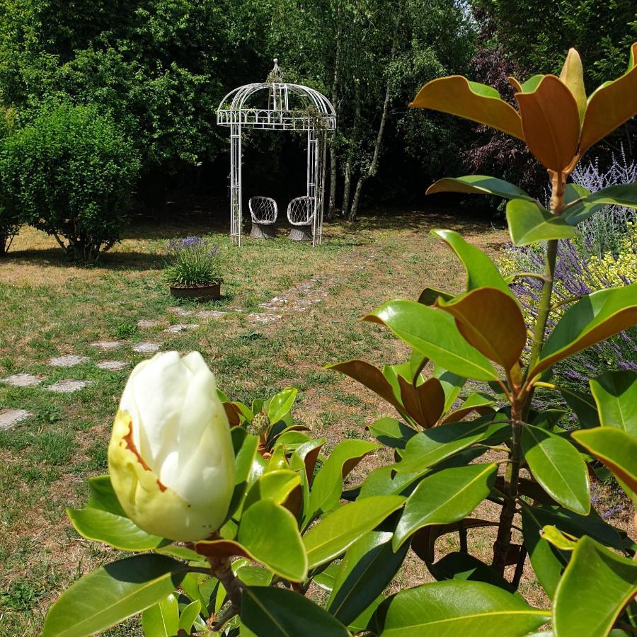 La Maison Des Thermes, Chambre D'Hote Saintes Eksteriør bilde